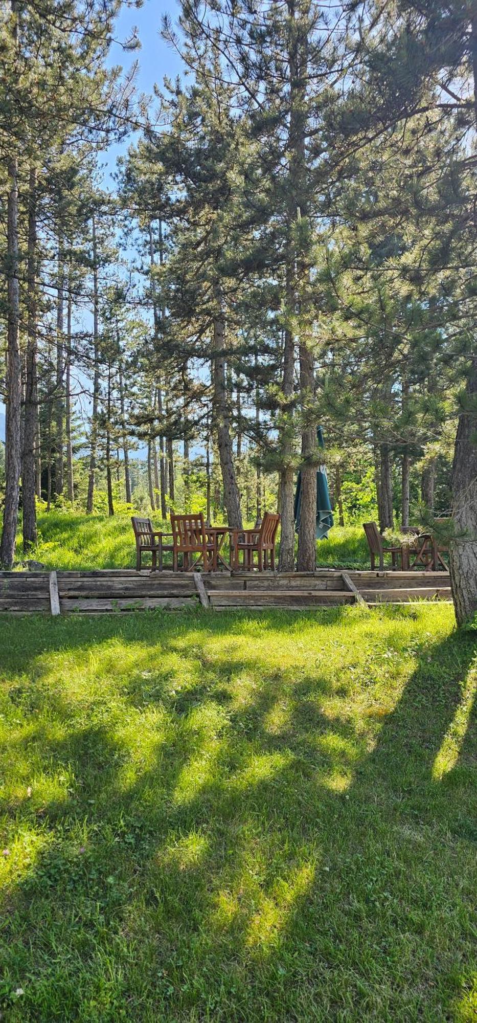 Green Peaks Suite In Pirin Golf & County Club ราซล็อก ห้อง รูปภาพ