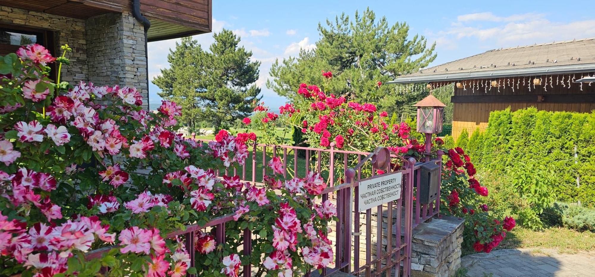Green Peaks Suite In Pirin Golf & County Club ราซล็อก ภายนอก รูปภาพ
