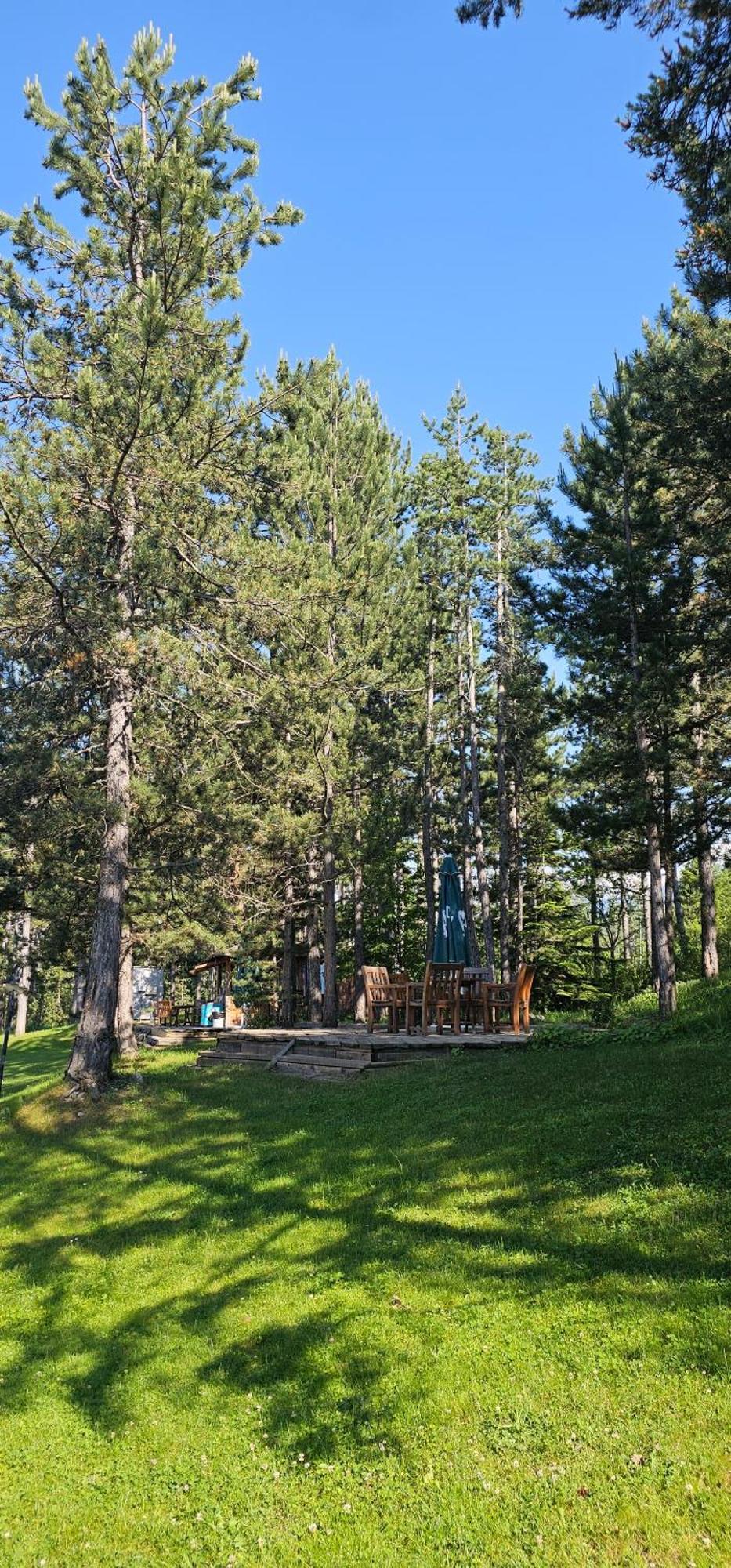 Green Peaks Suite In Pirin Golf & County Club ราซล็อก ห้อง รูปภาพ